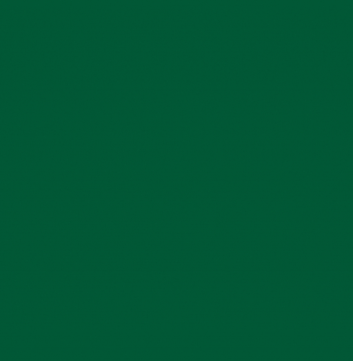 060 Тёмно-зелёный